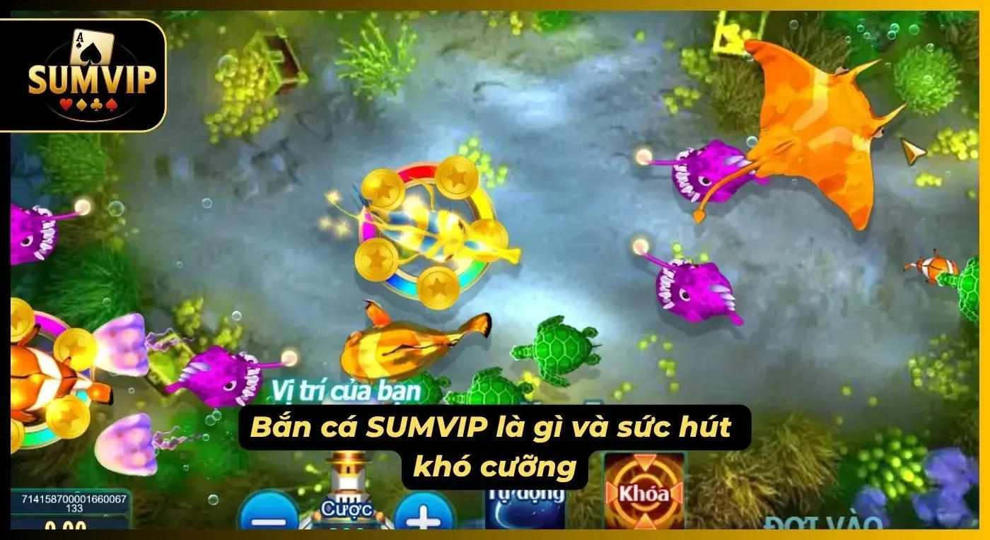 Đại dương rộng lớn mang đến trải nghiệm săn thưởng sinh động