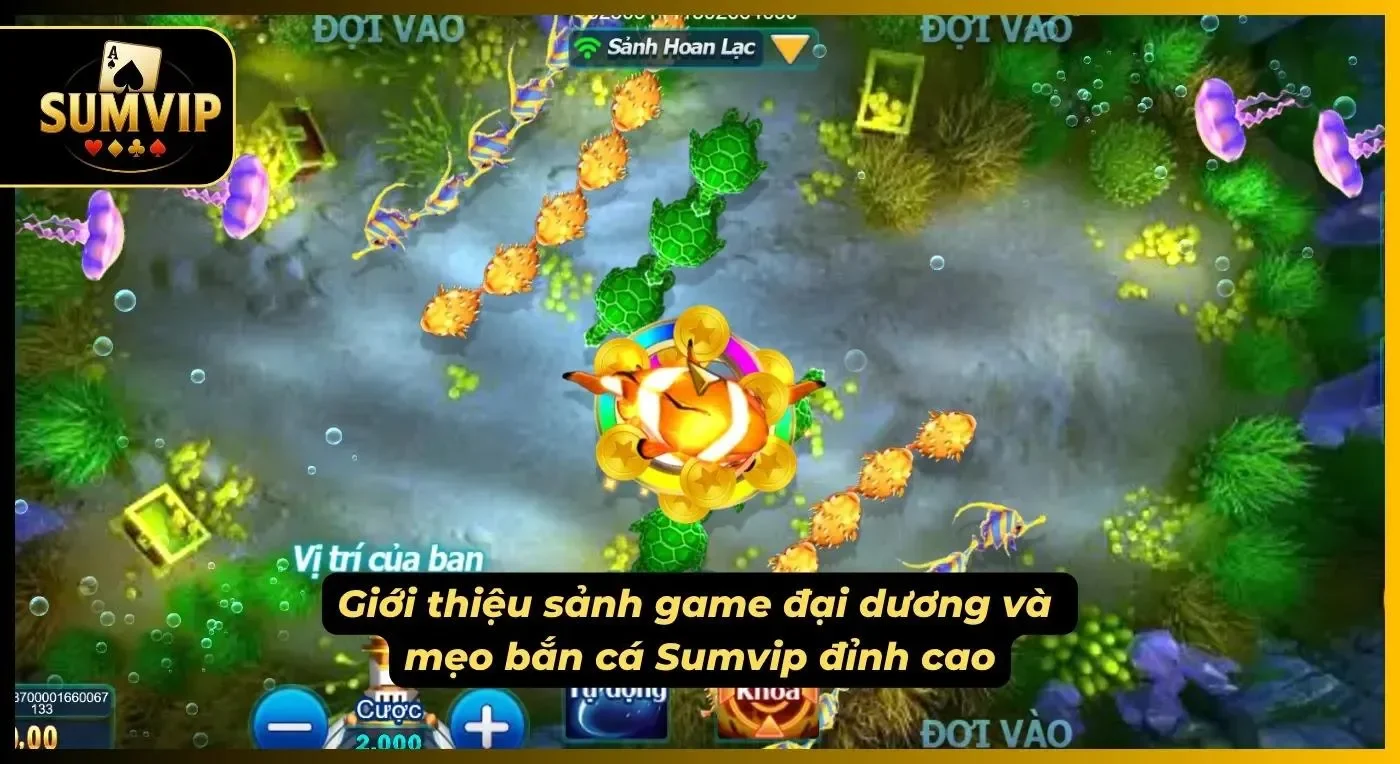 Trải nghiệm không gian đại dương 3D chân thực và kịch tính đỉnh cao tại hệ thống