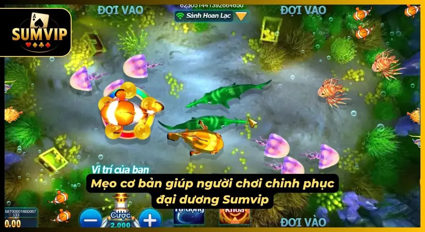 Anh em nên nắm vững các mẹo nền tảng cùng tư duy phân tích kỹ thuật