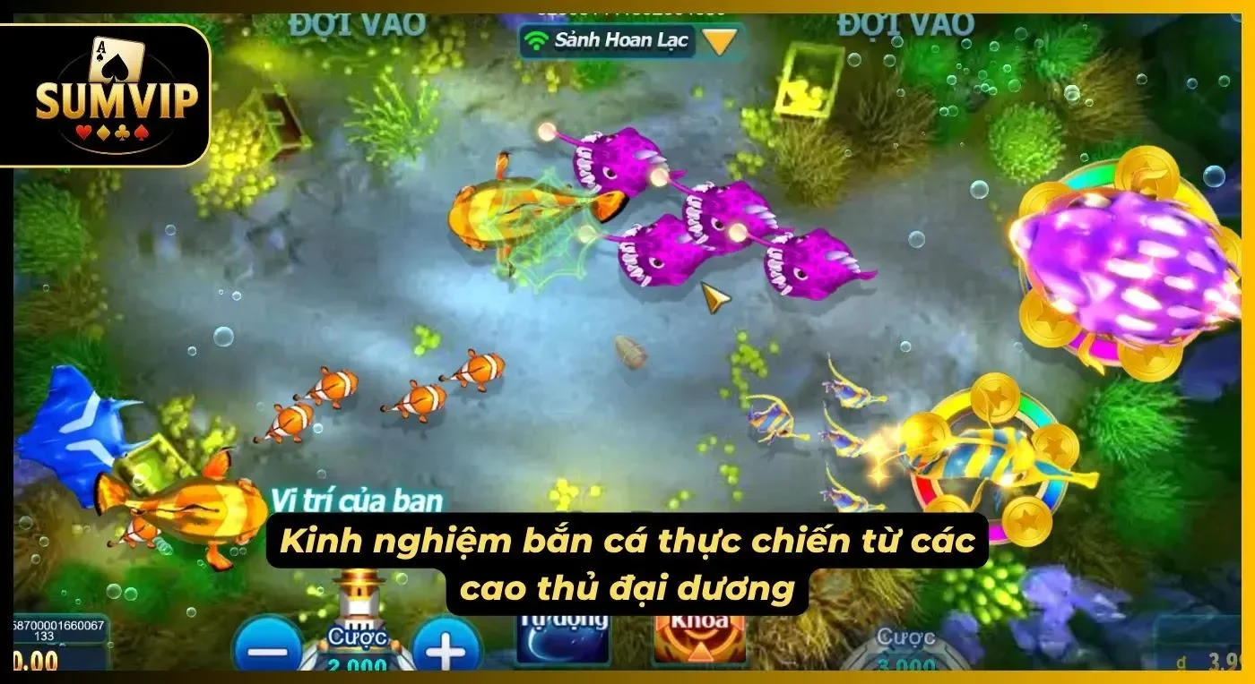 Vận dụng linh hoạt kinh nghiệm thực chiến giúp người chơi kiểm soát tốt khi chơi