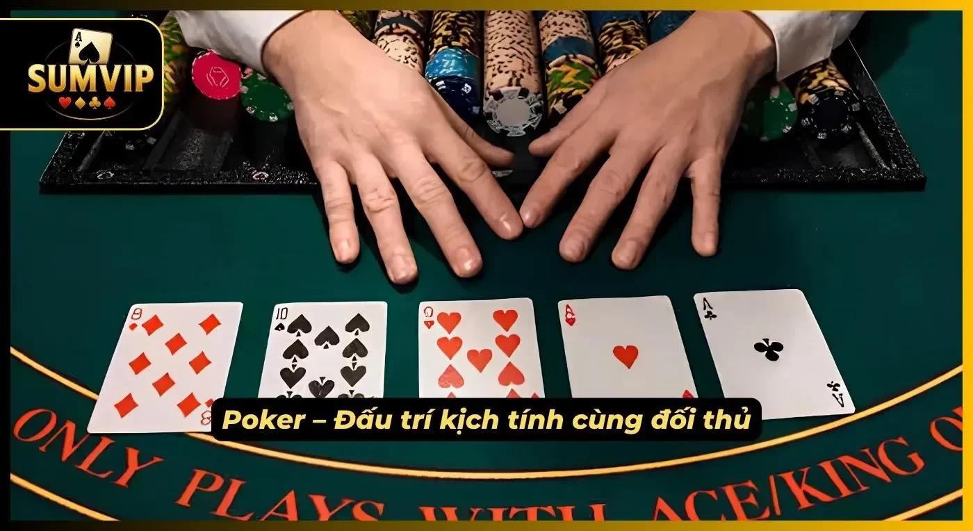Đấu trí kịch tính cùng các người chơi khác tại sảnh Poker của cổng game